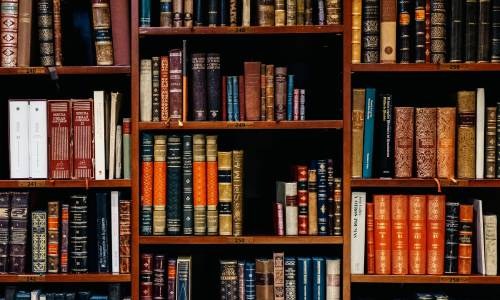 كتب متنوعة مرتبة على رفوف مكتبة