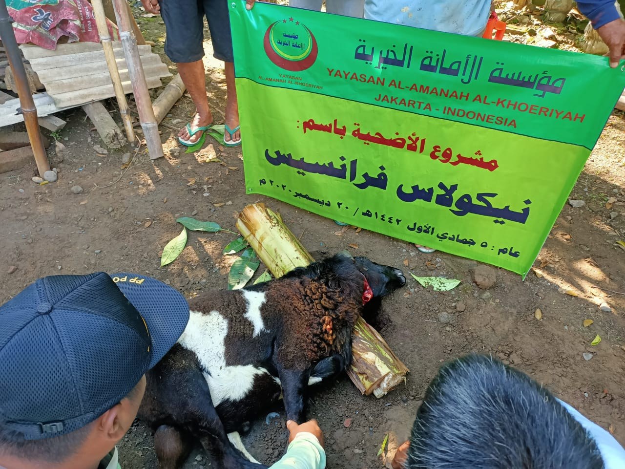 رأس ماعز على الأرض أمام لافتة توثيق الأضاحي