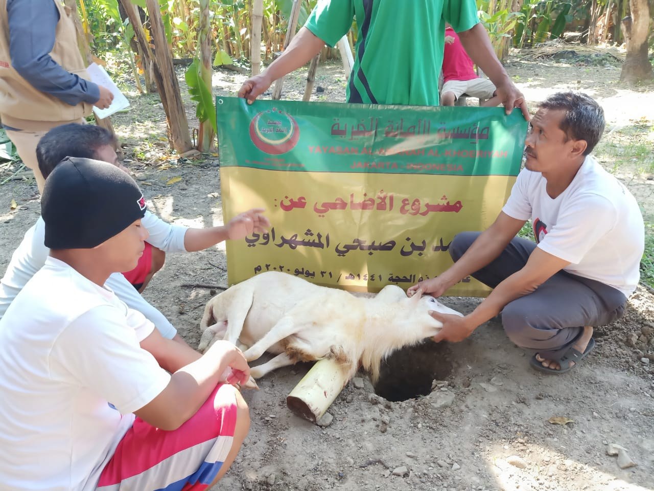 رجال يجلسون حول خروف أبيض ممدد أمام اللافتة