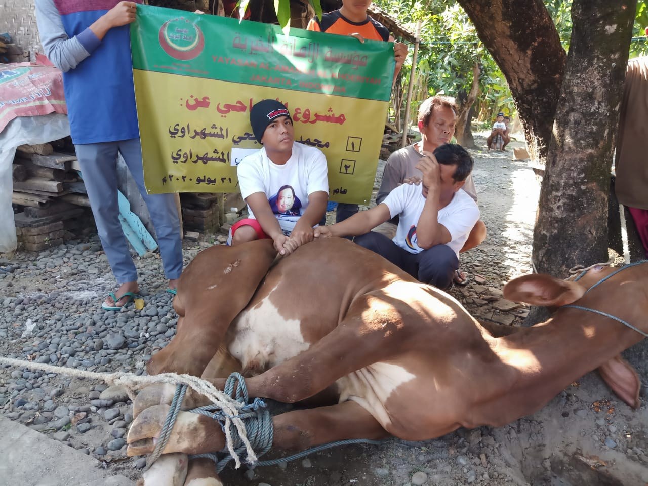 رجال يجلسون قرب البقرة واللافتة أثناء تجهيزها