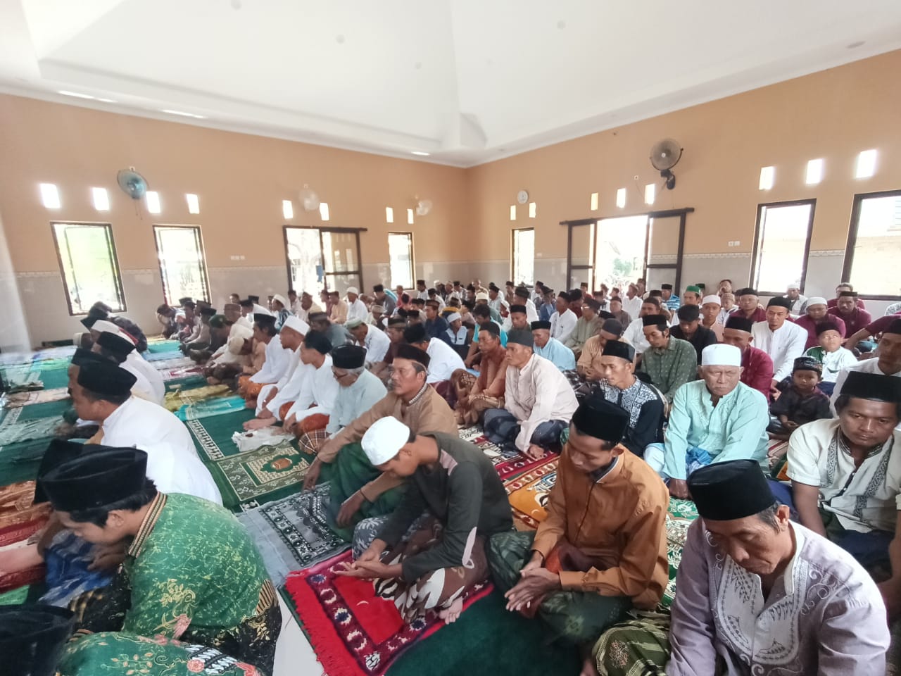 alwalidain (8)